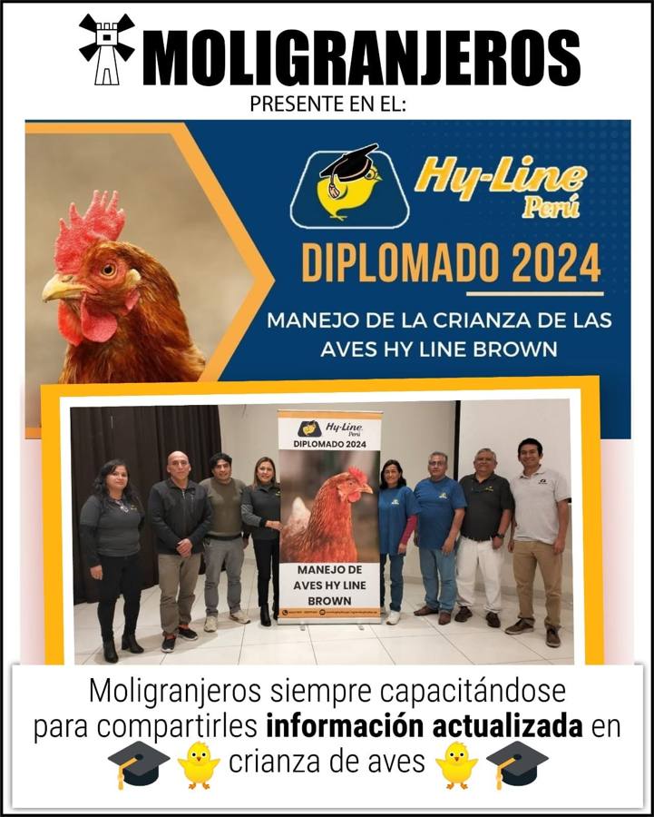 Diplomado Hy-Line Perú 2024
