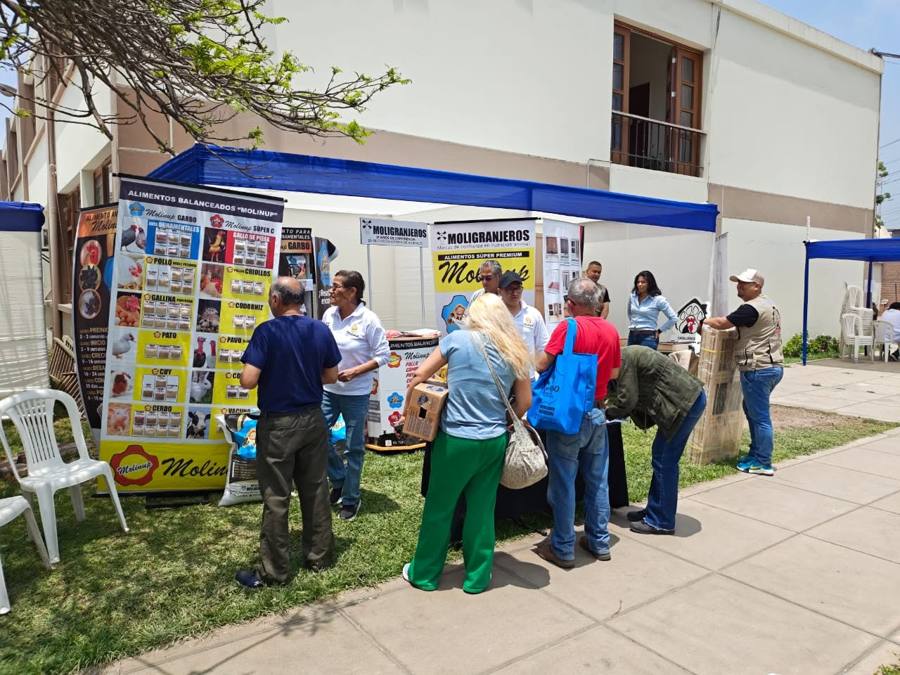 Stand de Moligranjeros en una feria con paneles de Molinup